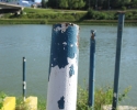 2012-08-28-15.37.05