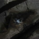 test17