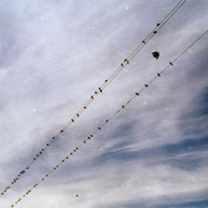 27