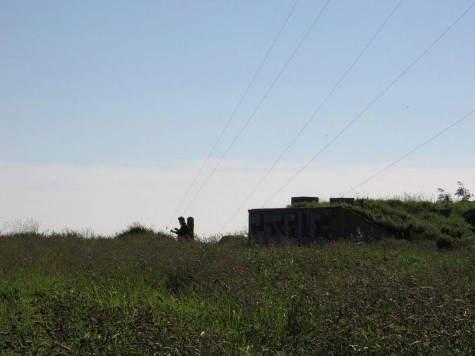 murmer-wires-normandy